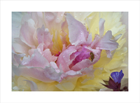 Peonies Series 1